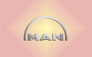 ✓ MAN 36.25902.0025 Запчасти МАН (MAN) 