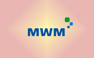 ✓ MWM 1228411 Подшипник шатуна 